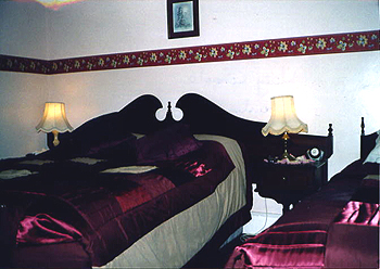 Shanlee B&B, 
Lahinch Road, 
Ennis, 
Co. Clare,
Irland