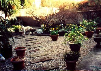 Colette Carter B&B,
32 Annesley Park,
Ranelagh,
Dublin 6,
Irland