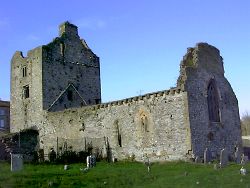 Cahir Abbey,
Cahir,
Co. Tipperary,
Irlanda.
