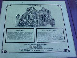 Cahir Abbey,
Cahir,
Co. Tipperary,
Irlanda.