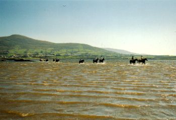 The Final Furlong B&B,
Cahirciveen,
Co. Kerry,
Ireland